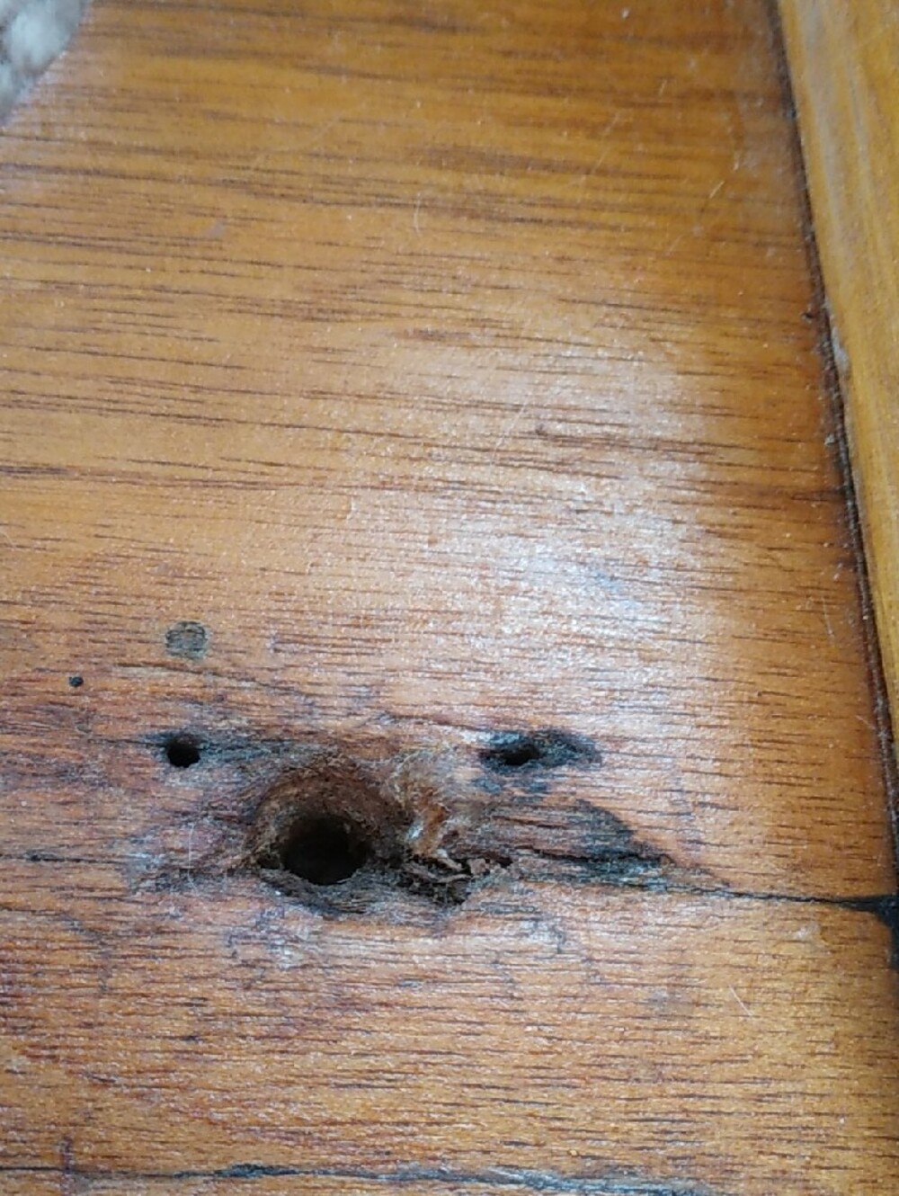 Decorative Carved Wood Wall Shelf - Natural Brown - Picture 14 of 16